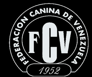 logo fcv